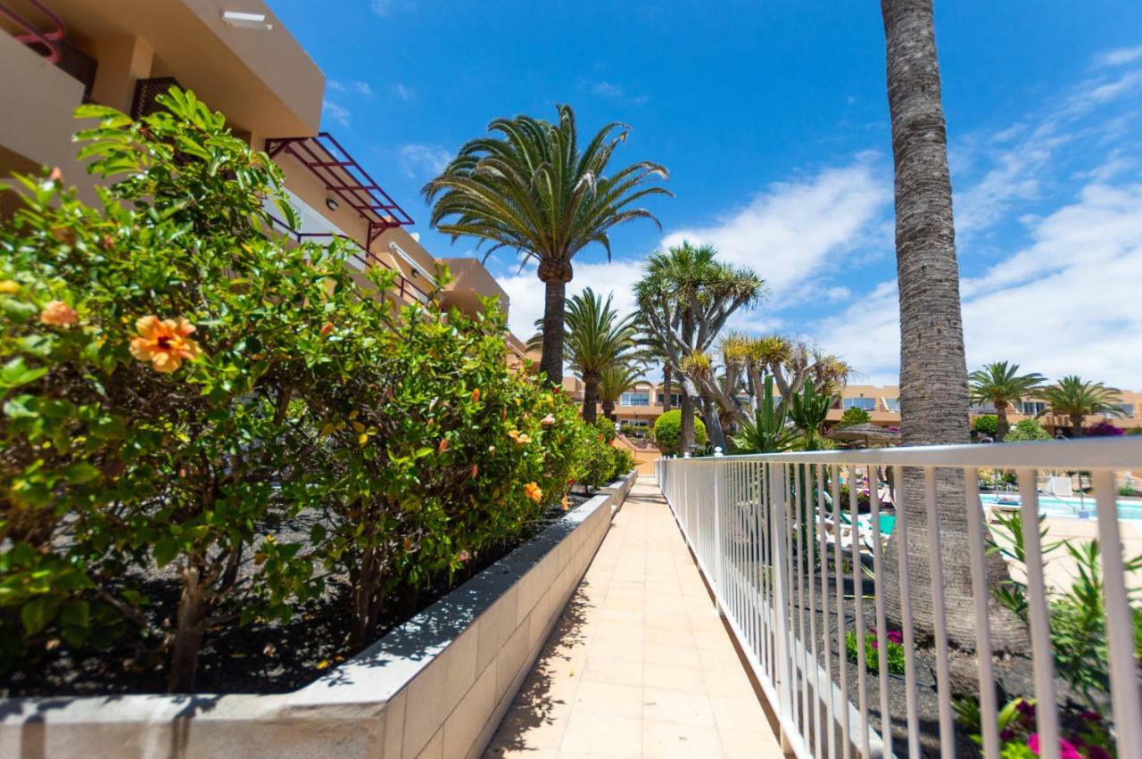 Apartamento Poolviewzen-Corralejoplaya Exterior foto